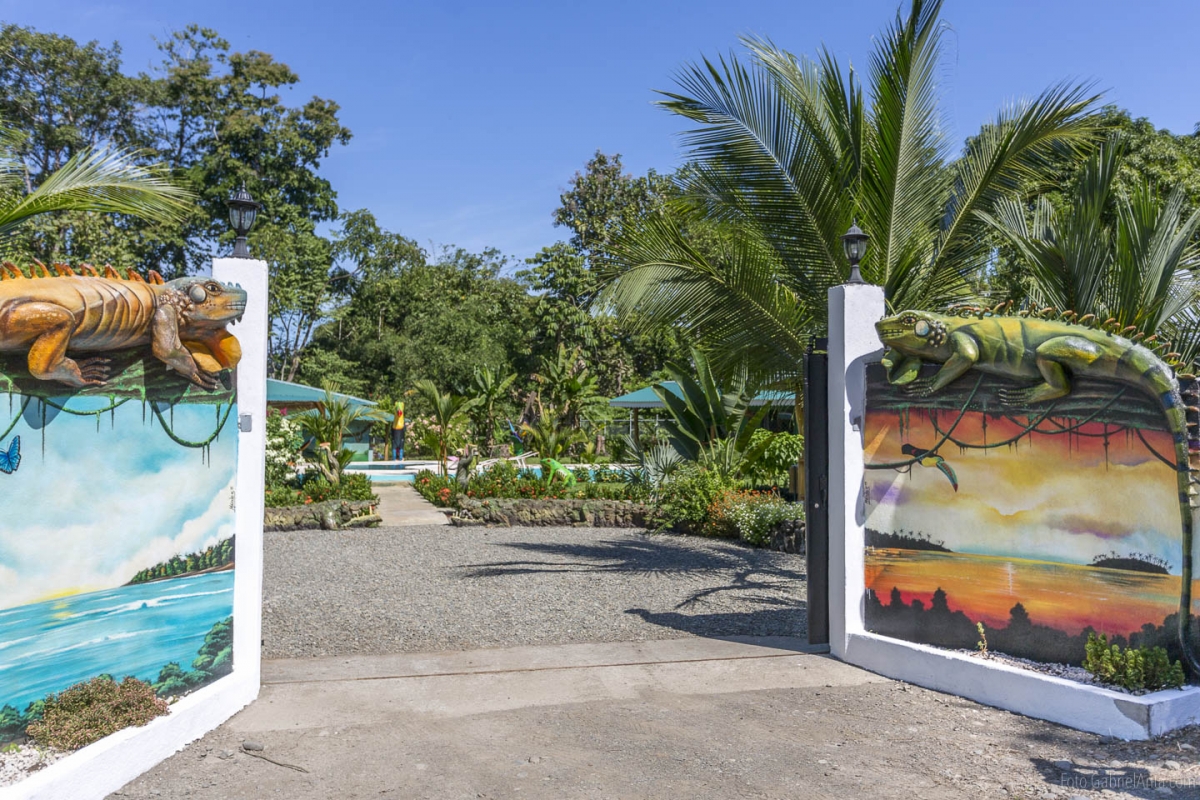 Villas New Caribe Point